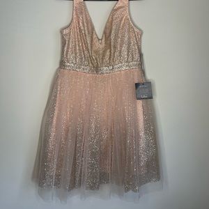 Lulu’s Ballerina Dream Blush Pink and Gold Skater Dress NWT